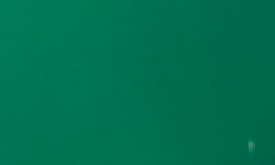 Featured image of post The Elephant in the Room